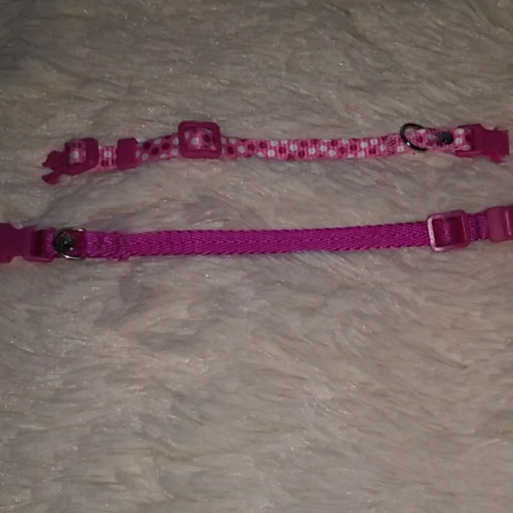 Animal Collars - Picture 4 of 4